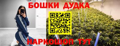 кокаин Кингисепп