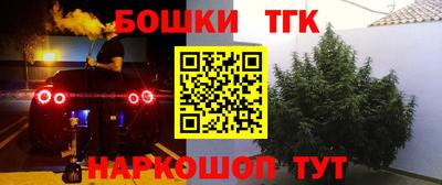 хмурый Кинель