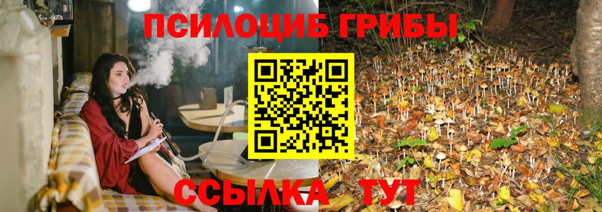 Галлюциногенные грибы Magic Shrooms Видное