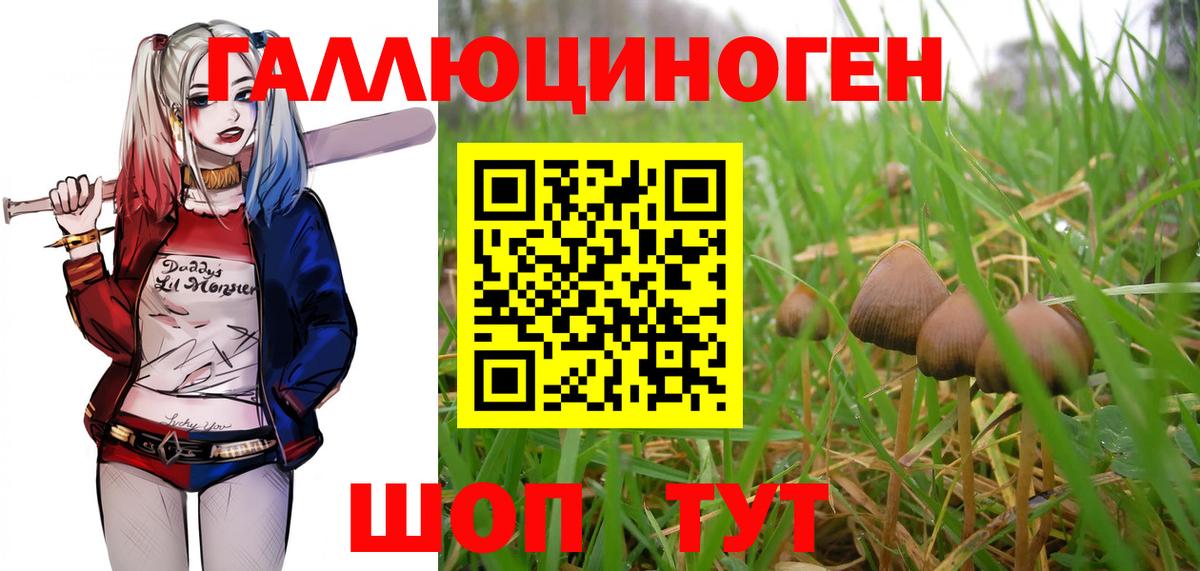 Видное  Псилоцибиновые грибы Cubensis  Вход с VPN 